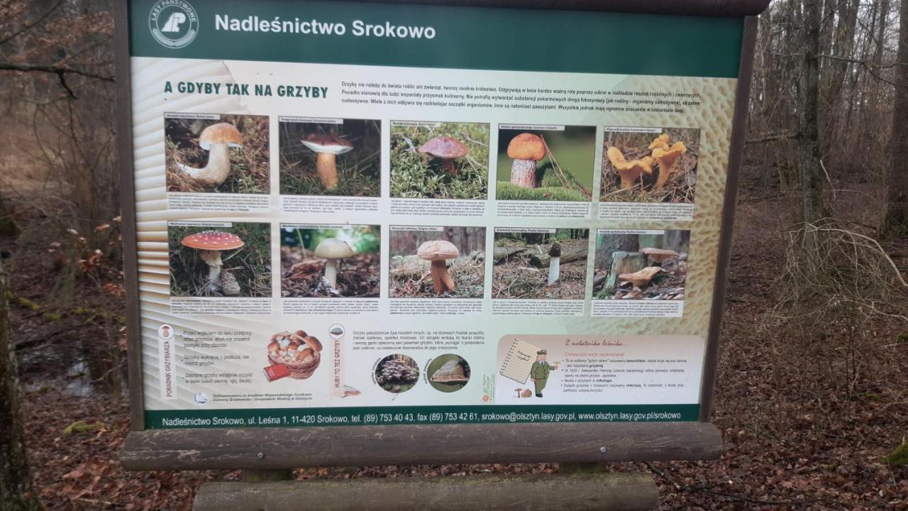 Zacisze Pod Brzozami Villa Ketrzyn Luaran gambar