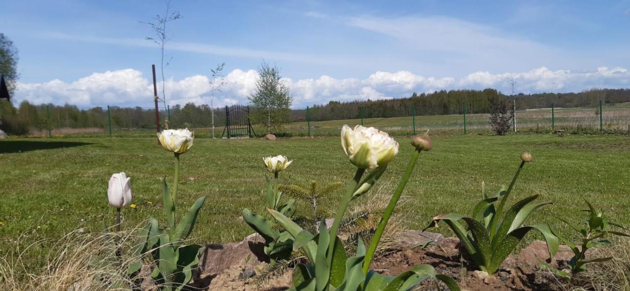 Zacisze Pod Brzozami Villa Ketrzyn Luaran gambar